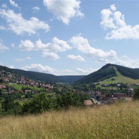 Fewo Panorama - Haus Sommerberg Baiersbronn Exterior foto