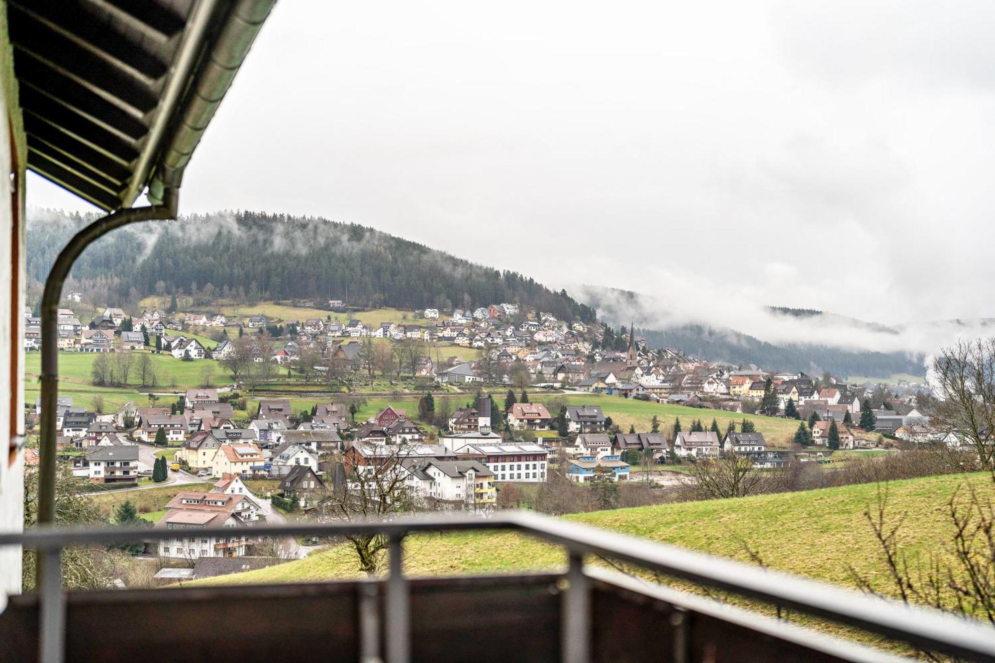 Fewo Panorama - Haus Sommerberg Baiersbronn Exterior foto
