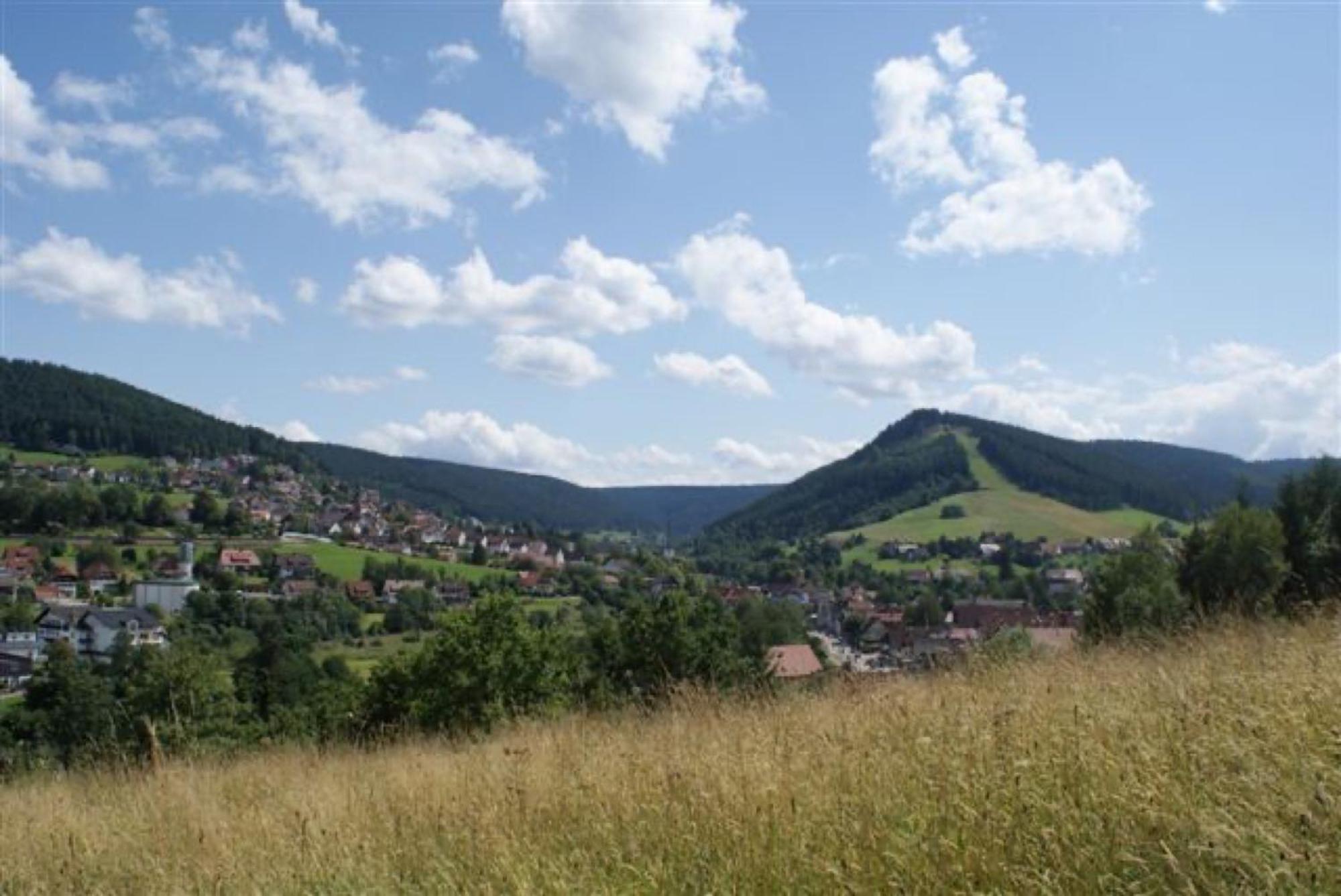Fewo Panorama - Haus Sommerberg Baiersbronn Exterior foto