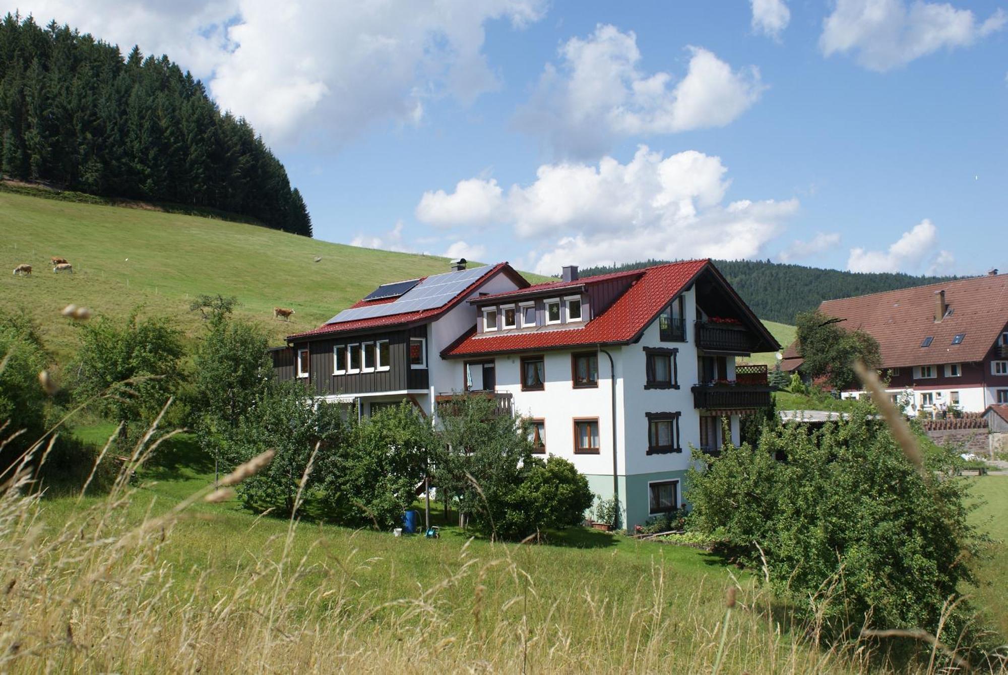 Fewo Panorama - Haus Sommerberg Baiersbronn Exterior foto